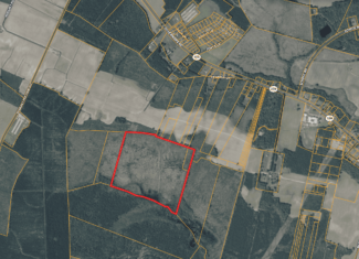 Turnkey Hunting + Investment Property w/ Beaver Swamp